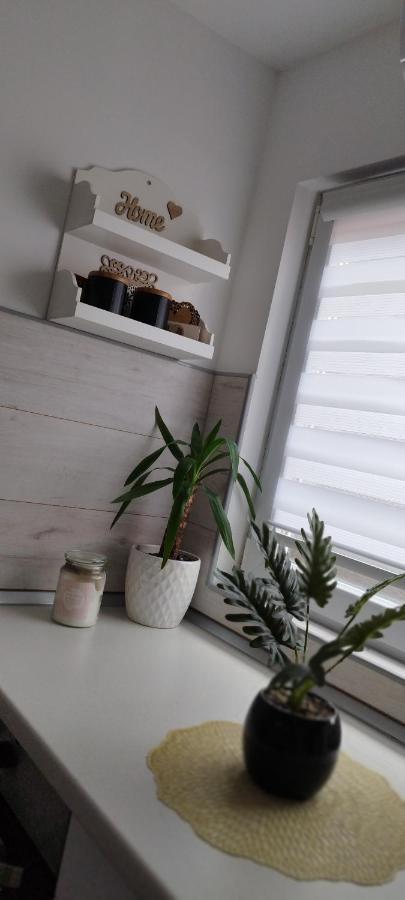 Queen Apartmancic Apartment